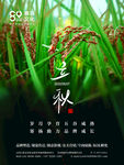 立秋
