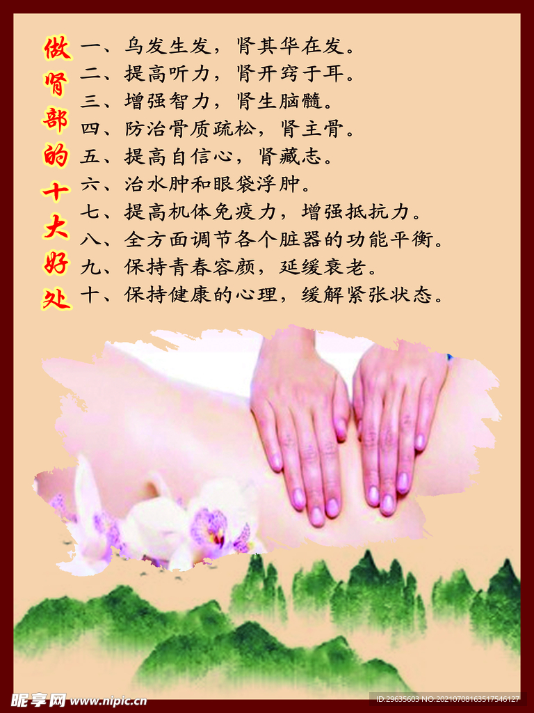 做肾部的十大好处