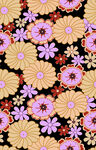 花朵