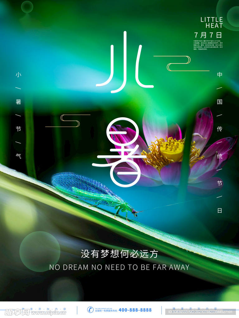 小暑海报 
