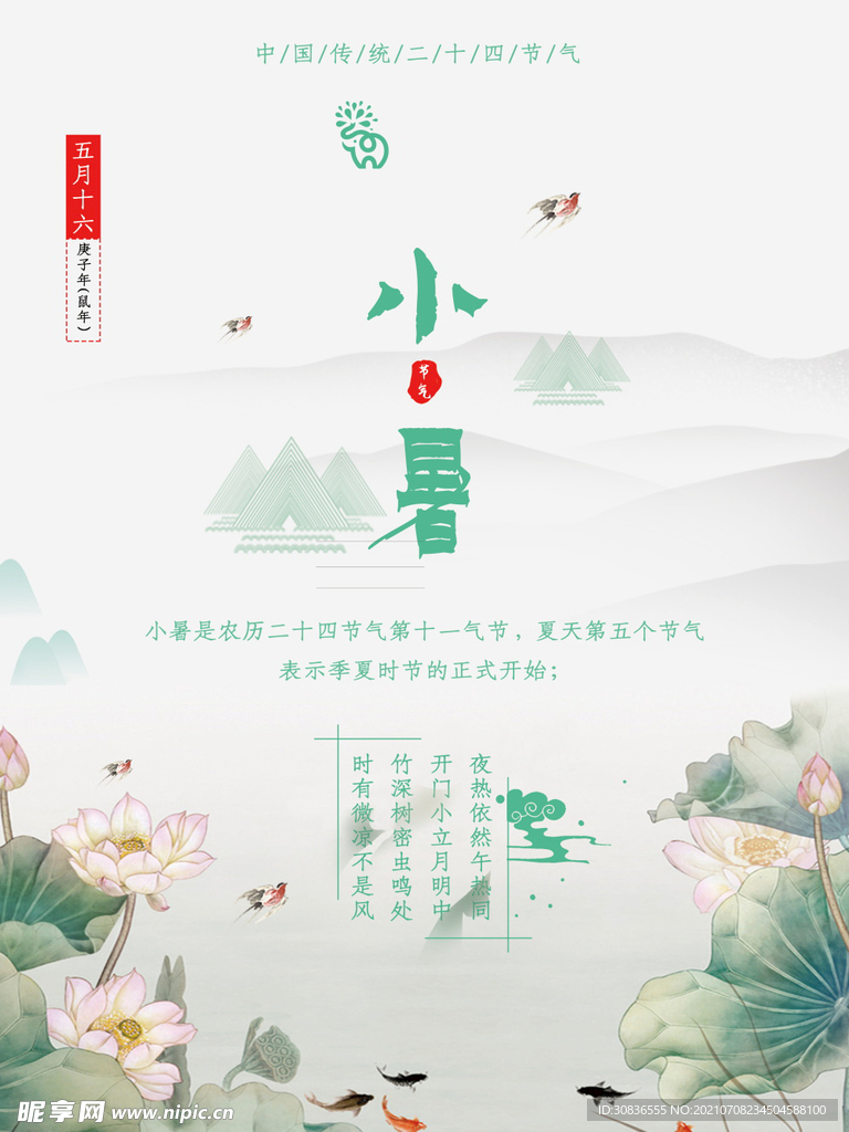 小暑海报 