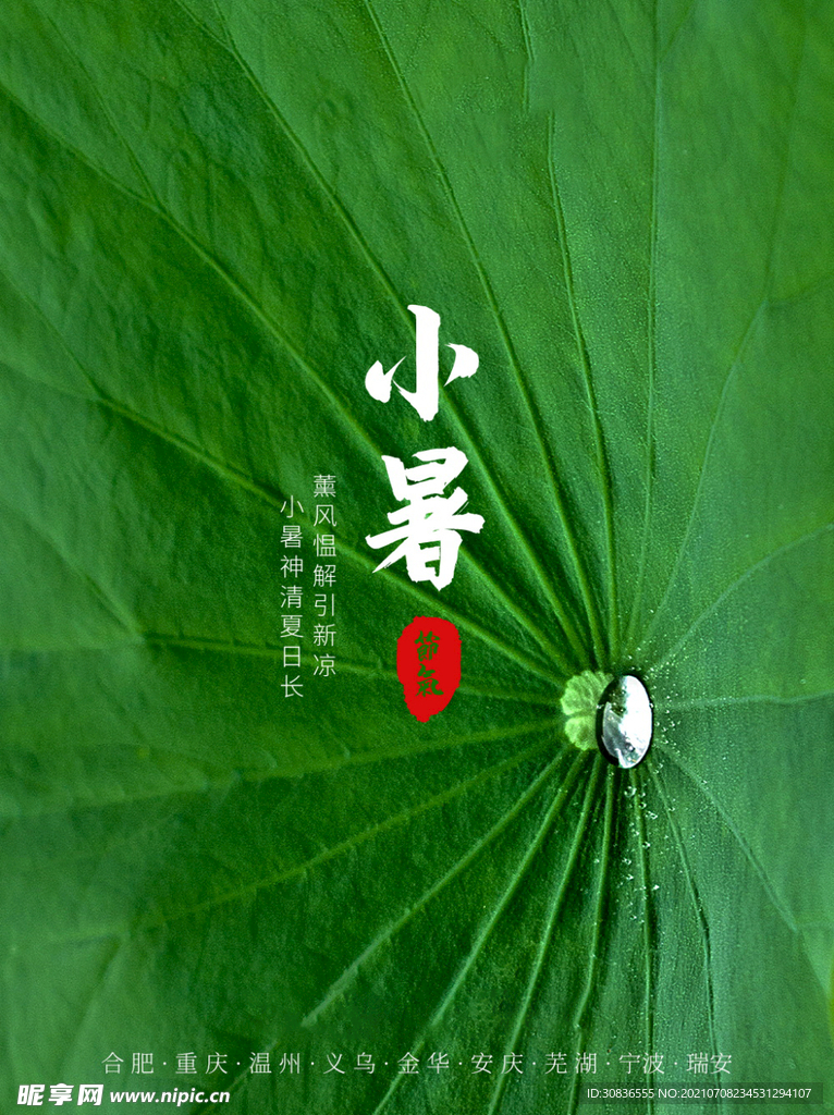 小暑海报 