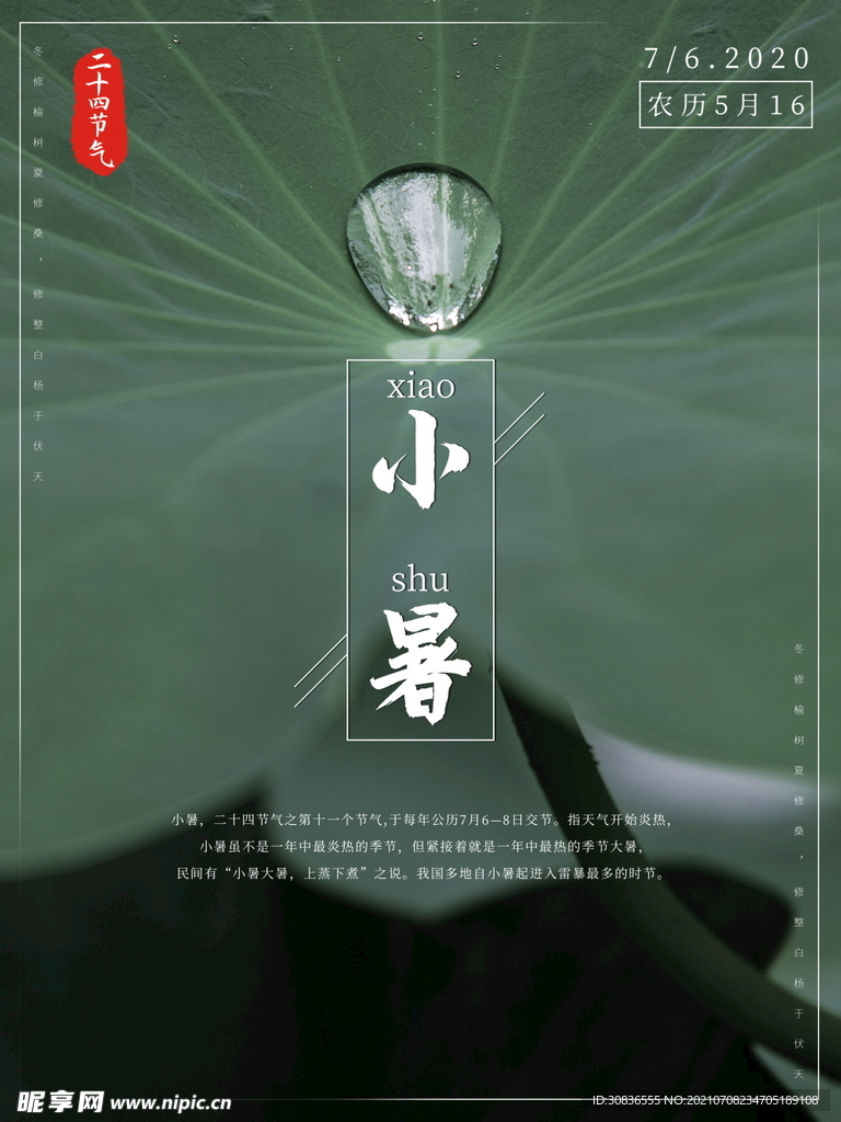 小暑海报