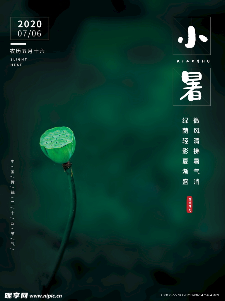 小暑海报 