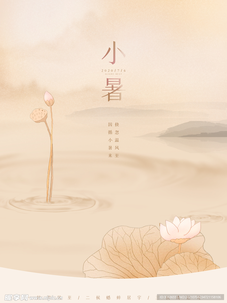 小暑海报 