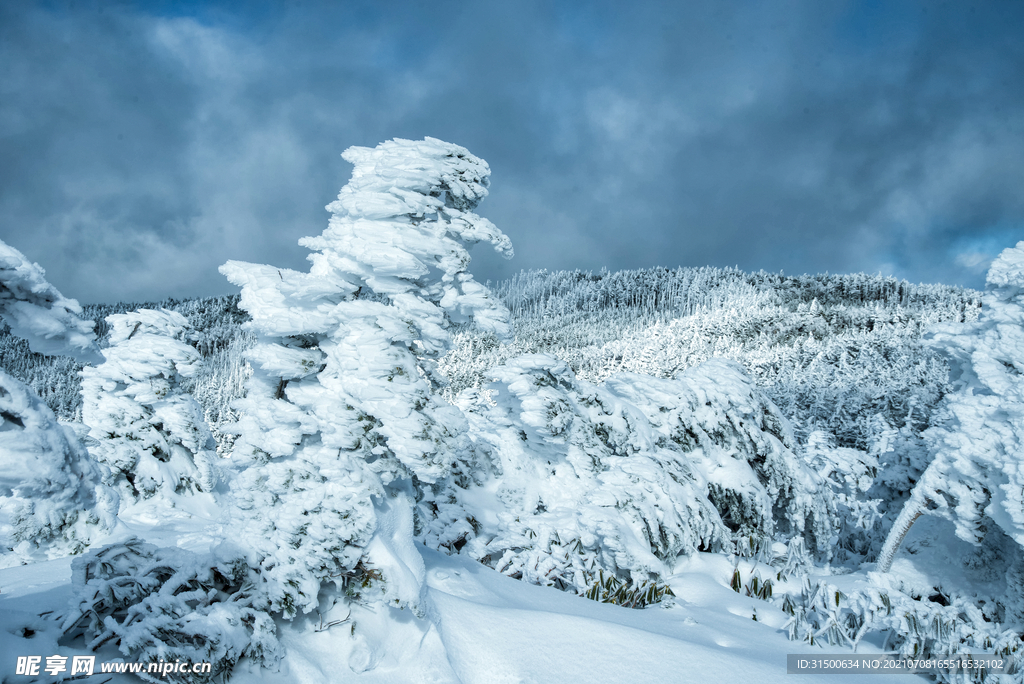 雪景