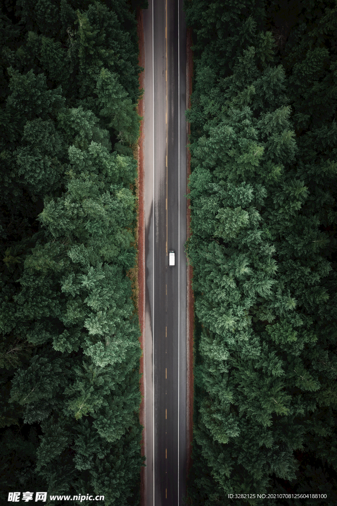 无人机摄影之穿越森林的汽车