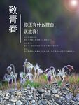 奋斗努力青春海报
