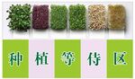 蔬菜海报