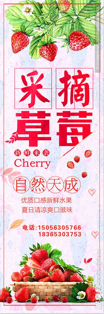 草莓
