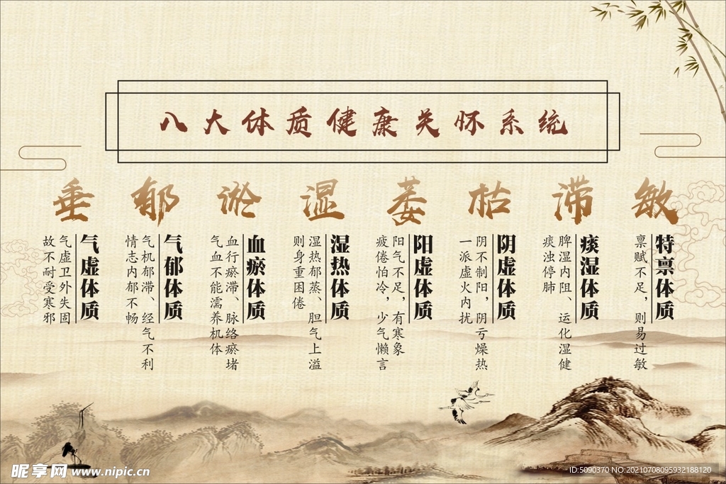八大体质