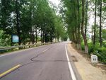 乡村道路