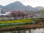 李婆墩
