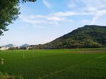 田园风光