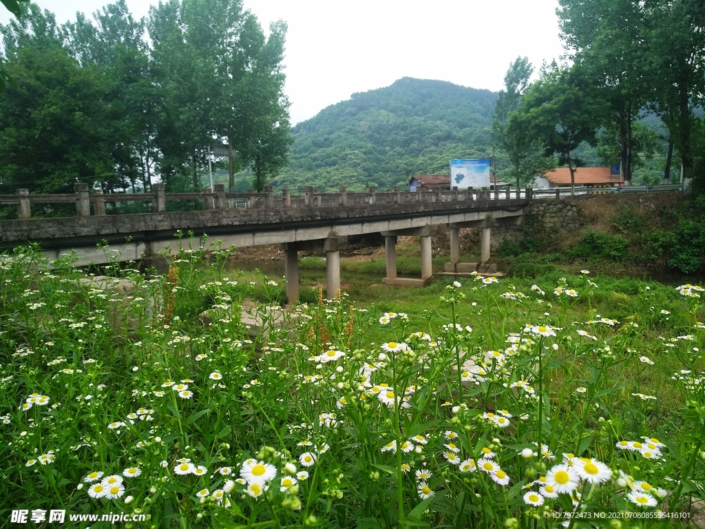 乡村小景