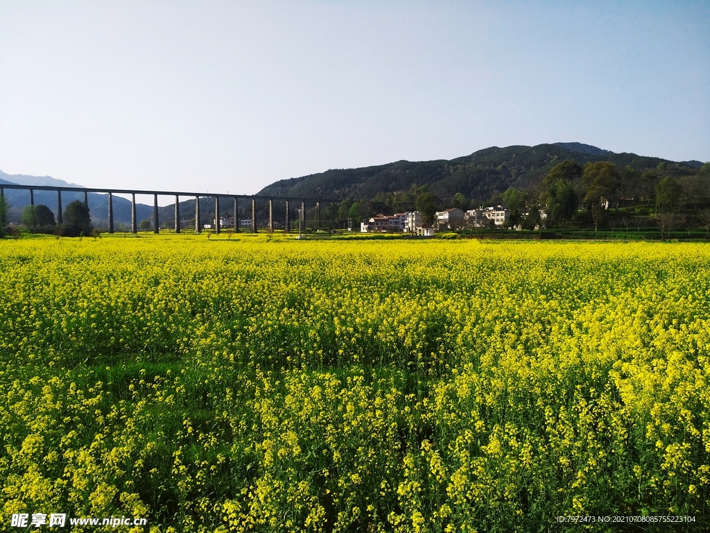 田园风光