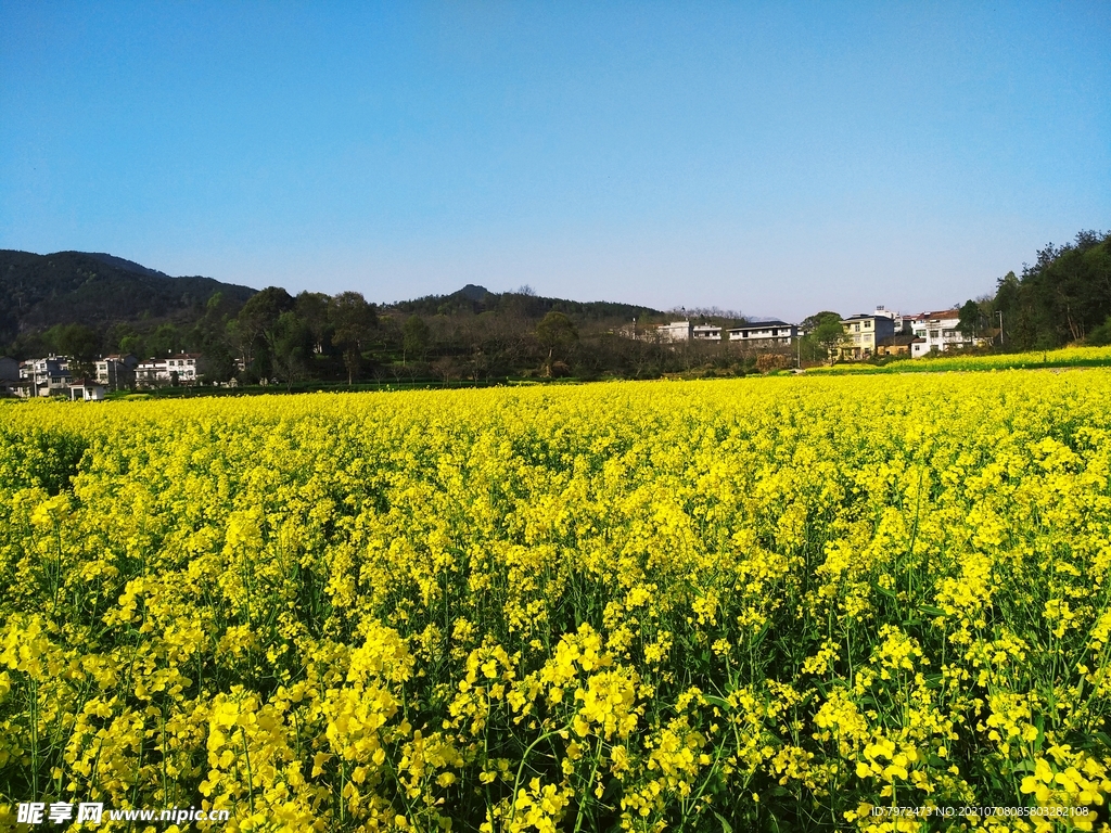 田园风光