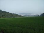 田园风光