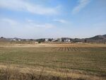 冬天的田野