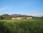 新农村