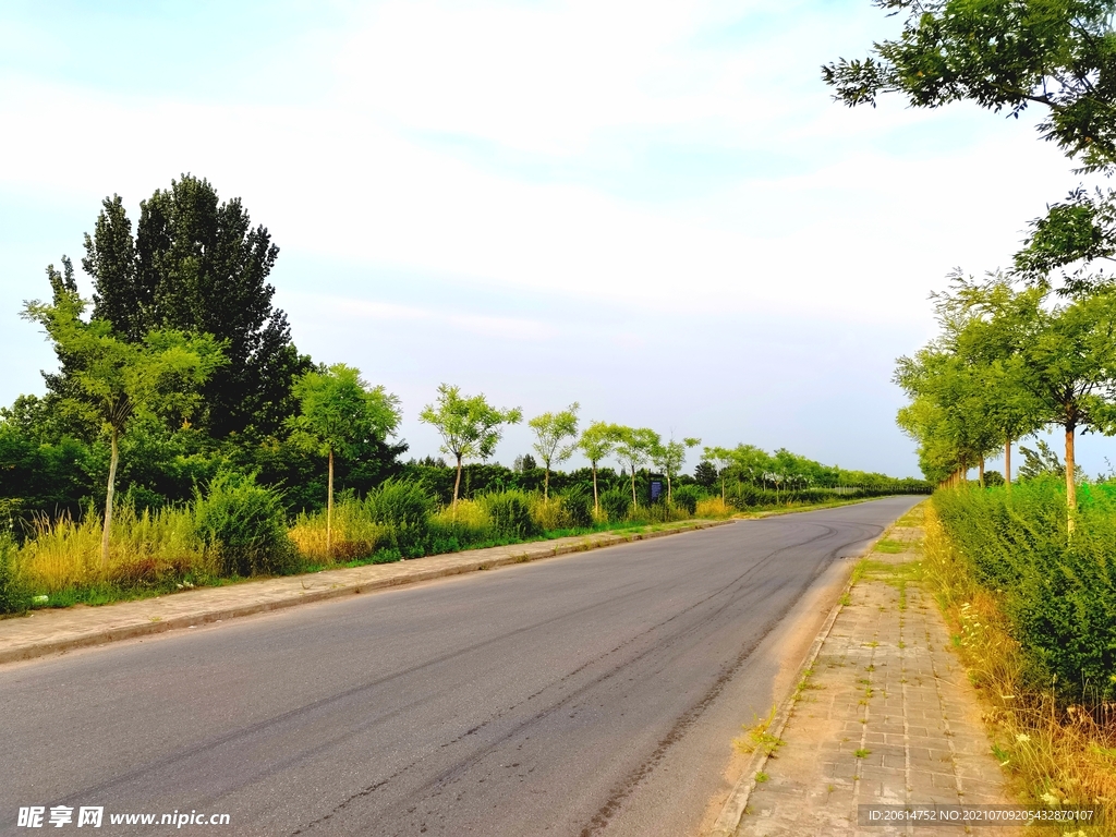 美丽的乡村道路风景