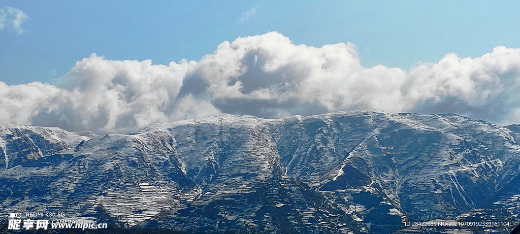 梧桐山