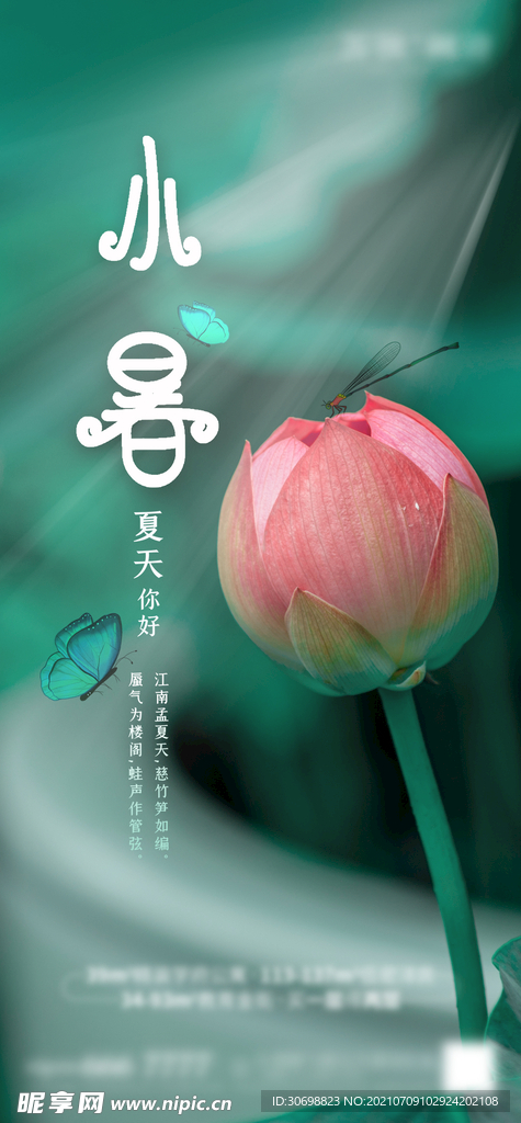 小暑 节气 夏天