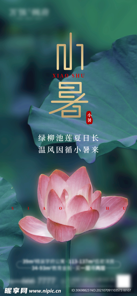小暑 节气 夏天