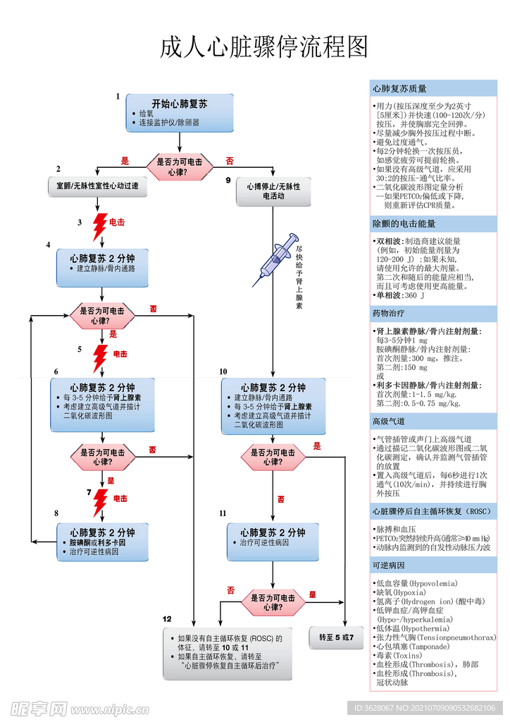 成人心脏骤停流程图