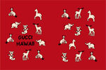 古驰 GUCCI