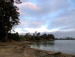 奥克兰海滨风景