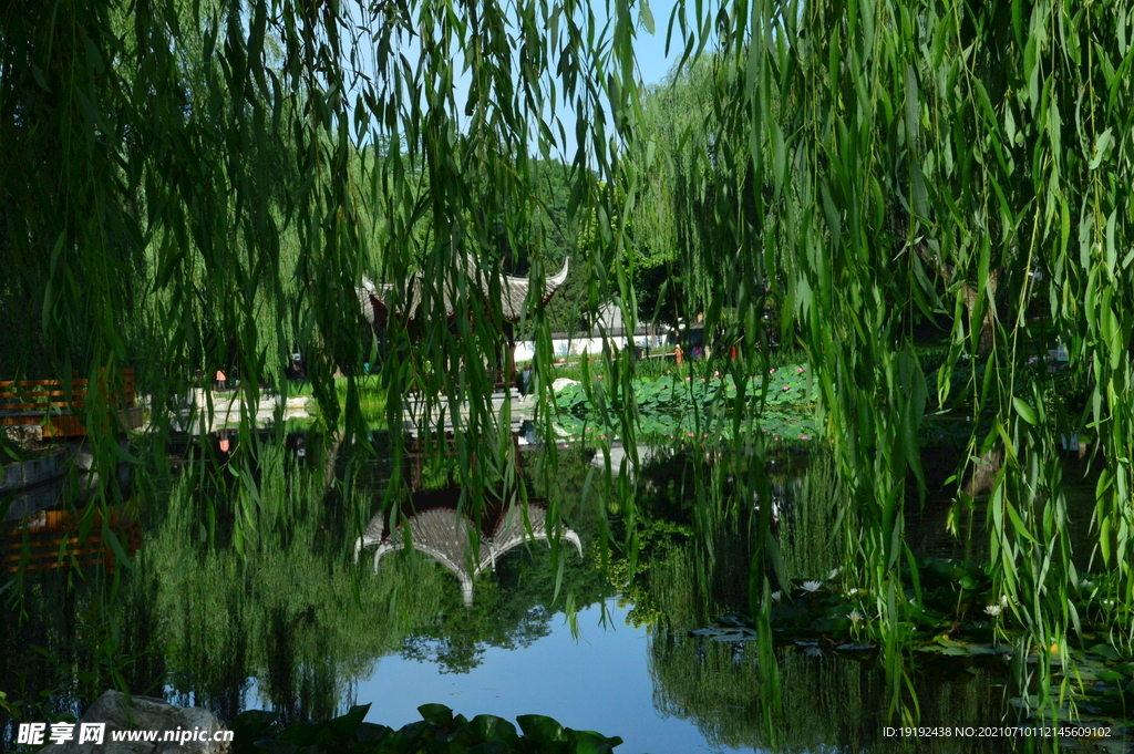 园林风景 