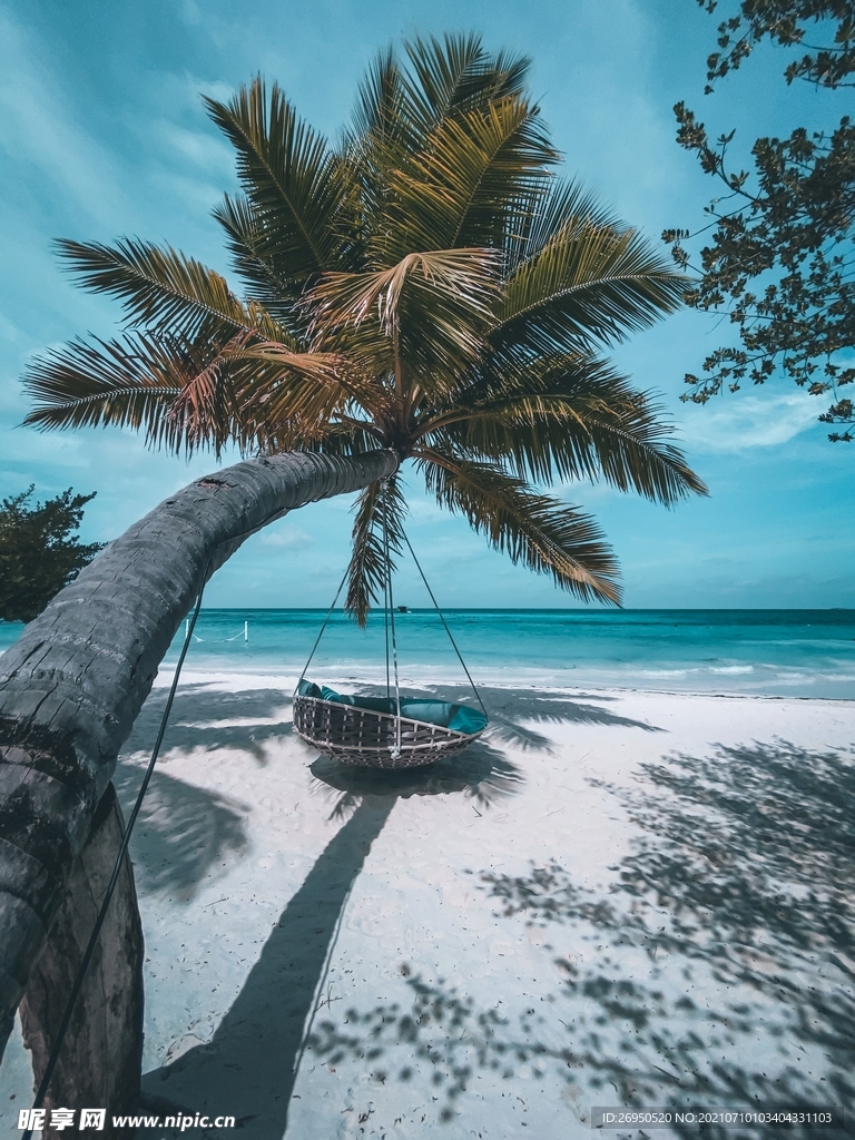 海