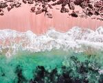 海