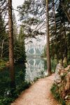 山