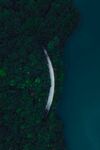 海