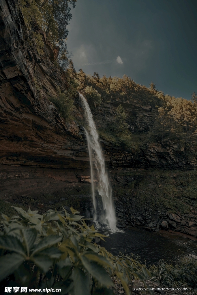 山