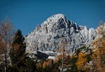 山