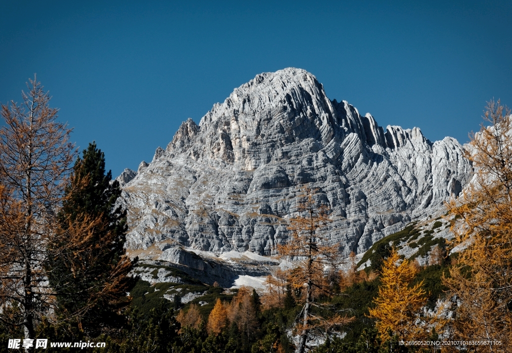 山