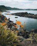山水
