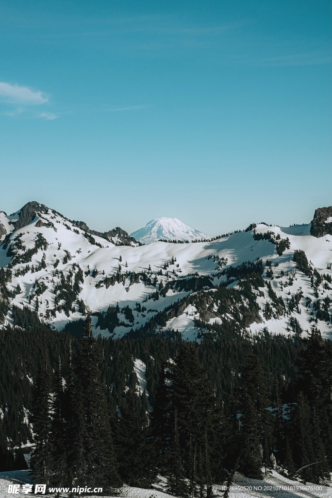山
