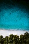 海