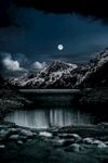 夜景