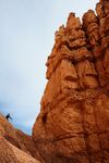 山