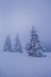 雪景