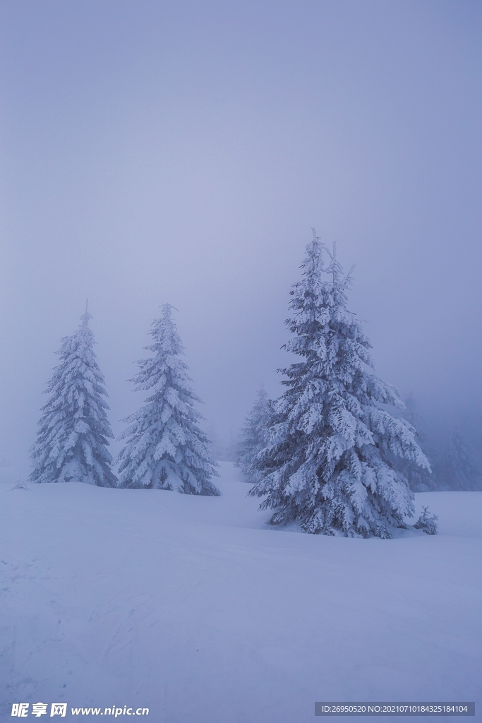 雪景