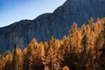 山