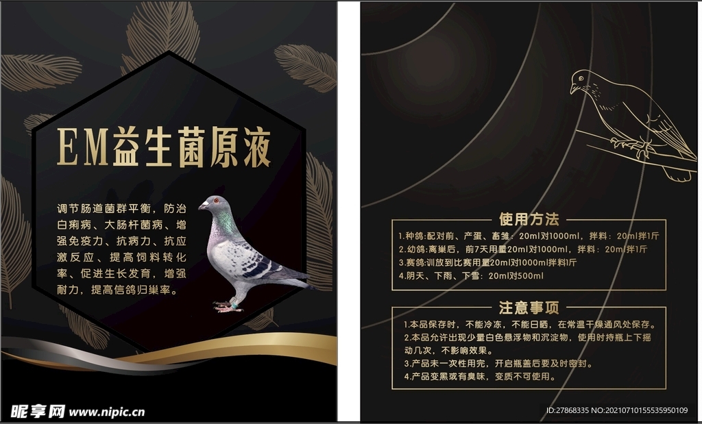 鸽子养生卡片
