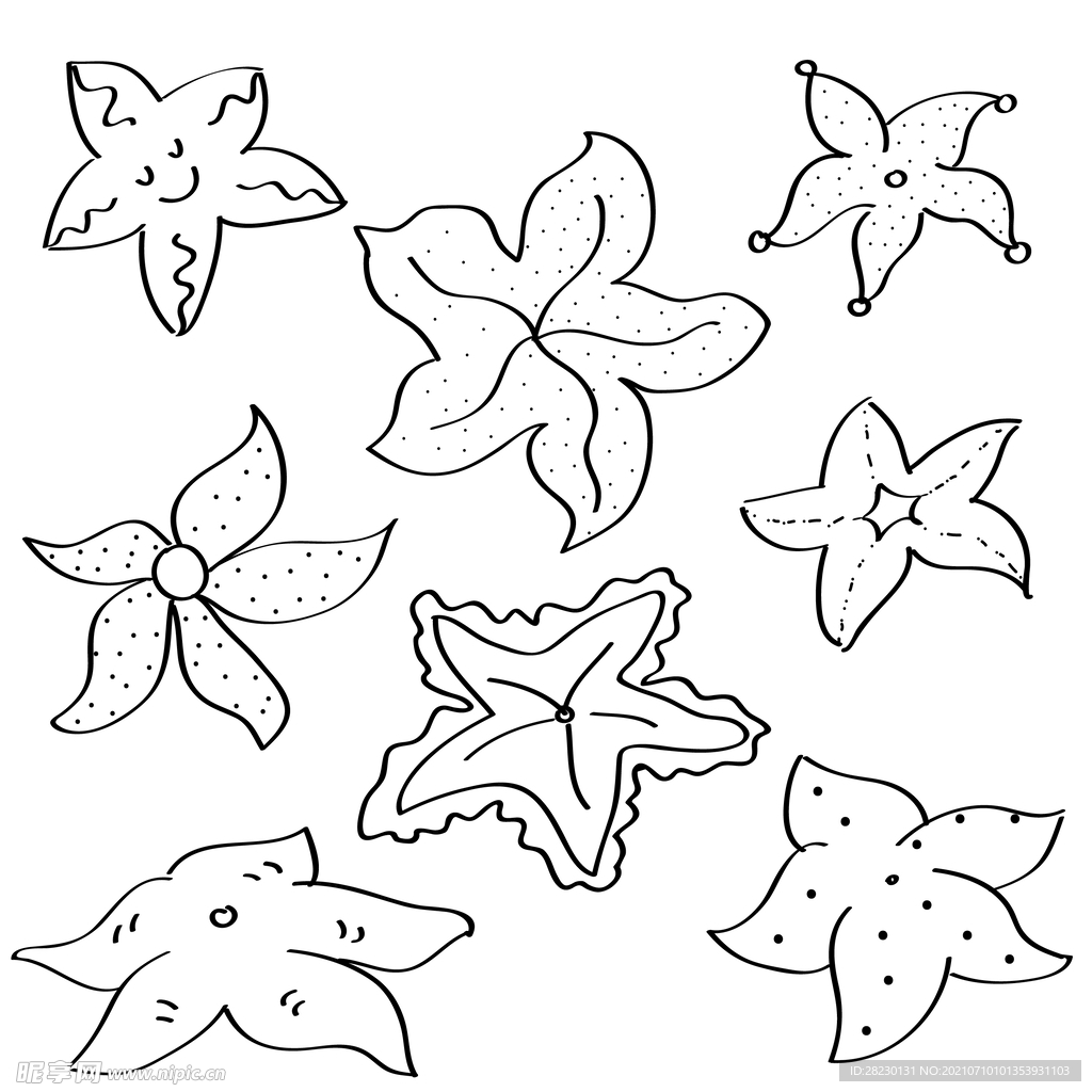 海星