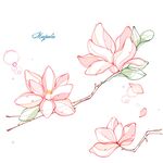 木兰花线稿